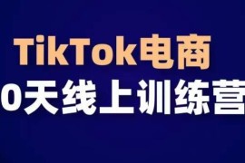 TikTok电商带货30天线上课 从0到1掌握海外流量运营全流程