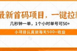 2024最新一键拉新首码项目 单号1小时收益50+操作无门槛