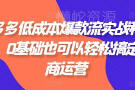 拼多多低成本爆款流实战教程 0基础可学电商运营实操技巧