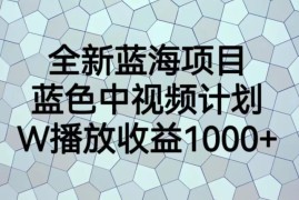 蓝色中视频计划玩法揭秘 高收益操作领域及实操流程全解析