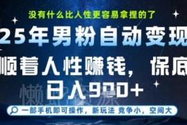 低门槛男粉全自动变现项目详解 操作简单收益到账快