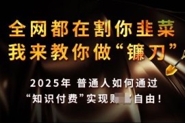 2025知识付费月入过万实操方法 互联网盈利底层逻辑解析