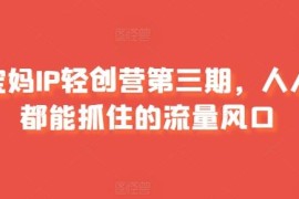 宝妈IP轻创营第三期课程 从IP打造到变现全阶段实操教程