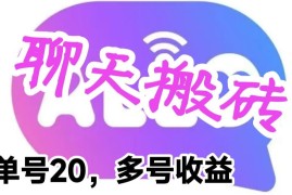 蓝海聊天平台手动搬砖项目 无需脚本单号日入20当天可见收益