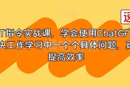 GPT指令实战全套课程 学会ChatGPT使用 高效解决工作学习问题