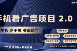 手机看广告项目2.0实操教程 支持单多机操作含7节课+养机指南