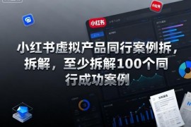 小红书虚拟产品100个同行成功案例拆解 完结版附运营实操方法