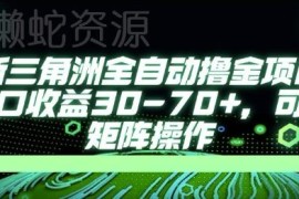 2024三角洲行动AI全自动打金项目 单窗口收益稳定可批量操作