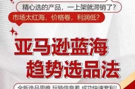亚马逊蓝海趋势选品法实操教程 利用信息差挖掘高利润爆款全攻略