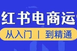 小红书电商运营从入门到精通 新手开店全流程实操教程