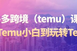 拼多多跨境Temu零基础运营课程 新手开店到出单全流程教学