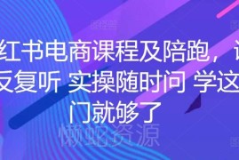小红书电商全流程实操课程 从开店到变现一站式系统学习指导