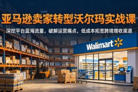 亚马逊卖家转型沃尔玛实战课 破解运营痛点拓宽跨境增收渠道