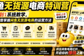 闲鱼无货源电商从0到1系统教学 全模块掌握店铺运营实用方法