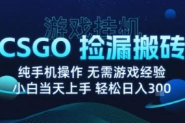2024年8月CSGO游戏搬砖捡漏项目 无需手动操作可月入过万