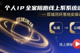 零基础可学的个人IP全案陪跑课 双域闭环落地实操系统教程