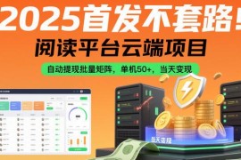 2025正规阅读平台云端挂机项目 全自动运行单机日入50+当天变现