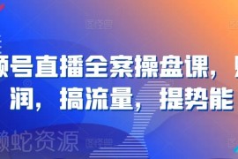 2024视频号直播全案操盘课 私域流量变现落地实操指南