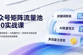公众号矩阵流量池10.0实战课 搜一搜排名AI写文合规运营变现教程