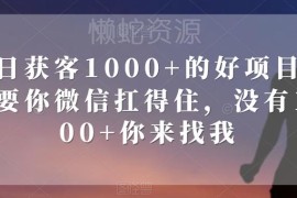 单日获客1000+副业项目揭秘 微信承载达标即可落地操作