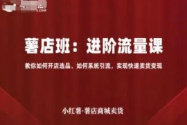 小红书薯店运营进阶教程 开店选品引流卖货全流程实操教学