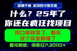2026年创业别盲目找项目 卖项目知识付费稳定变现玩法解析