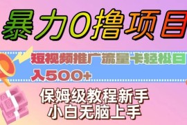 短视频推广运营商流量卡全流程教程 新手零成本副业入门指南
