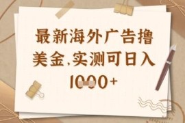 海外广告联盟脚本挂机赚美金项目 实测可多开放大获稳定收益