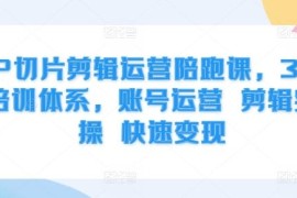 IP切片剪辑运营陪跑课 账号运营剪辑实操快速变现全教程