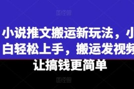 小说推文搬运全新玩法教程 零基础小白可快速上手实操