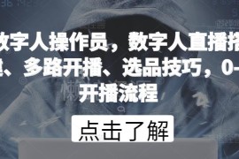 数字人直播0-1全流程教程 搭建多路开播选品运营技巧详解