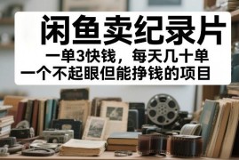 闲鱼卖纪录片低门槛副业实操指南 新手用碎片时间即可赚零花钱