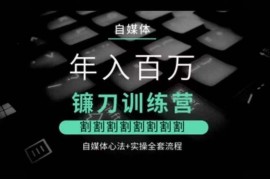 自媒体运营心法与实操全套教程 涵盖变现人设搭建防割指南