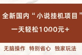 国内小说挂机项目玩法详解 多窗口运行低门槛稳定收益攻略
