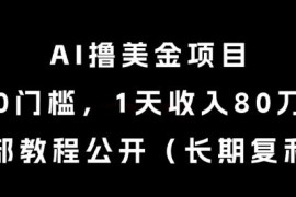 零门槛AI撸美金长期项目教程 稳定无风控实操方法分享