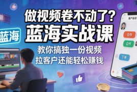 蓝海视频实战课 打造差异化内容实现获客与收益双增长