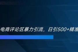 2024双十一电商评论区引流技巧 日引500+精准创业粉实操教程