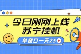 苏宁全自动采集挂机项目实操教程 稳定可批量单窗口收益30+