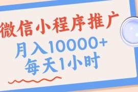 微信小程序推广长期靠谱项目 四种收入来源实操玩法详解