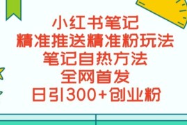 小红书精准引流实操教程 附合规脚本单日导私域300+方法