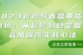 2023短视频直播带货11节实战课 从起号到爆流盈利全流程指南
