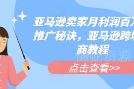 亚马逊跨境电商运营教程 卖家爆款推广高利润实操方法汇总