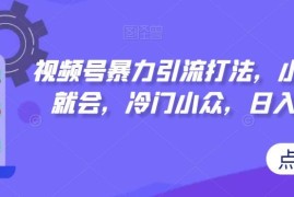 视频号冷门引流实操打法教程 小白易上手可实现日均收入300+