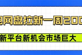 2025豆包网盘拉新项目实操教程 新平台低门槛周入可达2000