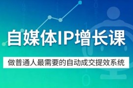 适合普通人的自媒体IP增长课 搭建自动成交提效运营系统