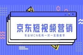 京东短视频营销实操教程 专业MCN机构一对一教学指南