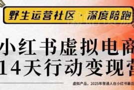 2025小红书虚拟电商14天变现训练营3.0 普通人搞钱实操教程