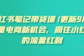 2025年3月更新小红书笔记带货课 抢占低竞争平台流量电商红利