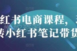 2025小红书电商系统课程 笔记带货开店直播全流程实操教学
