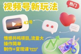 视频号情感共鸣项目新玩法 内容制作及变现全流程实操课